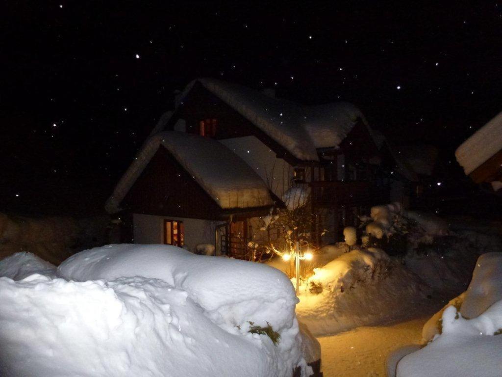 Ferienhaus Waldsicht ฟลาคเฮา ภายนอก รูปภาพ